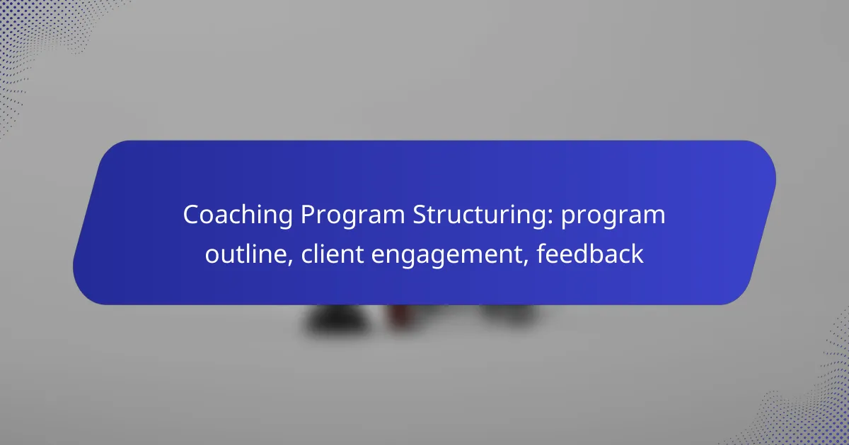 Coaching Program Structuring: program outline, client engagement, feedback